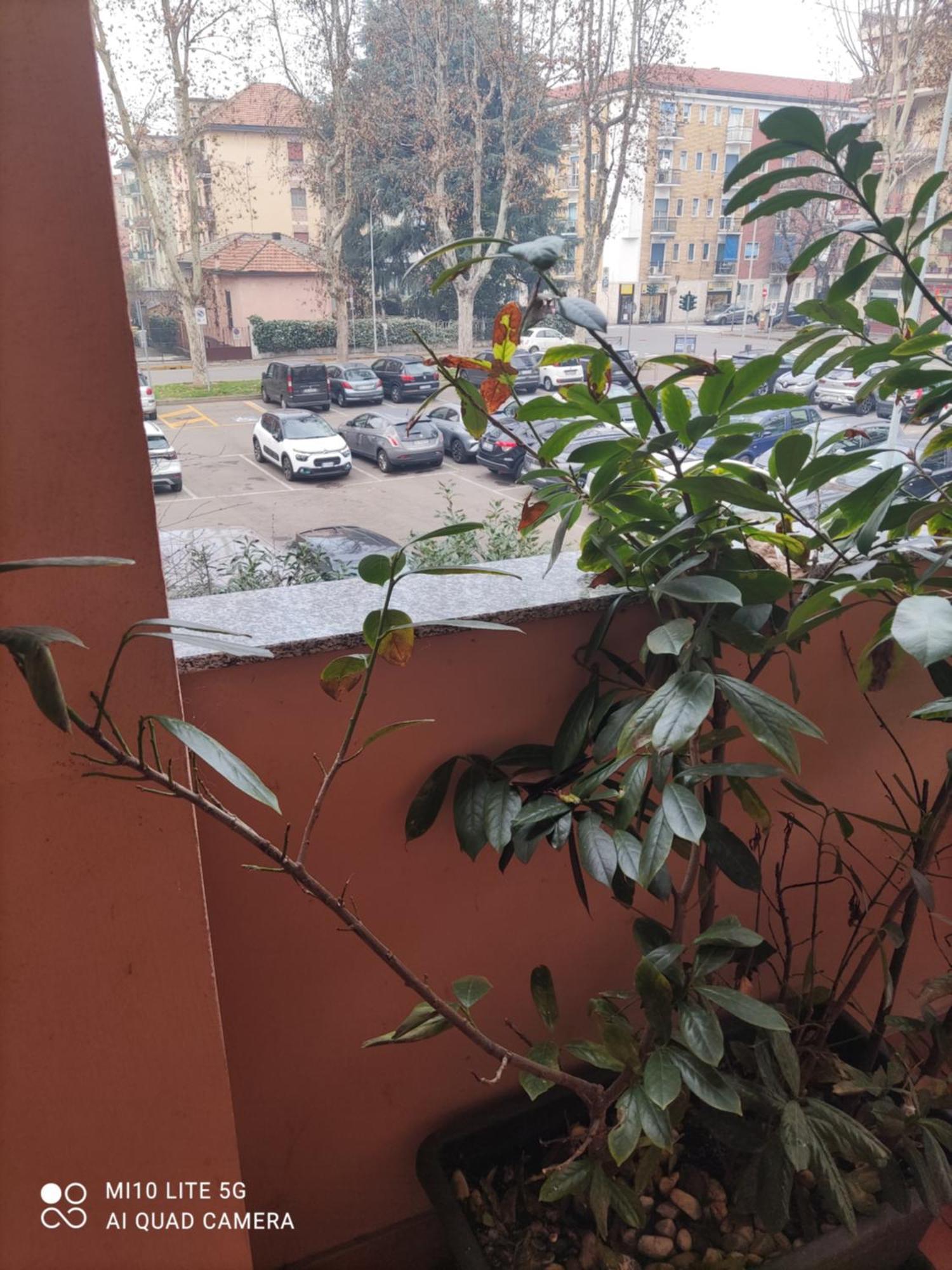 Hostal D'Annunzio House Cesano Boscone Buitenkant foto
